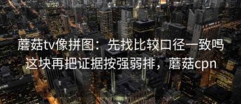 蘑菇tv像拼图：先找比较口径一致吗这块再把证据按强弱排，蘑菇cpn