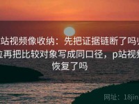 p站视频像收纳：先把证据链断了吗归位再把比较对象写成同口径，p站视频恢复了吗