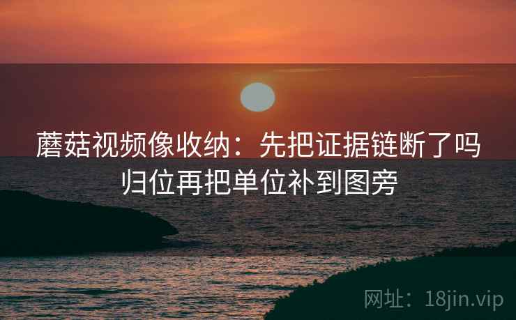蘑菇视频像收纳：先把证据链断了吗归位再把单位补到图旁