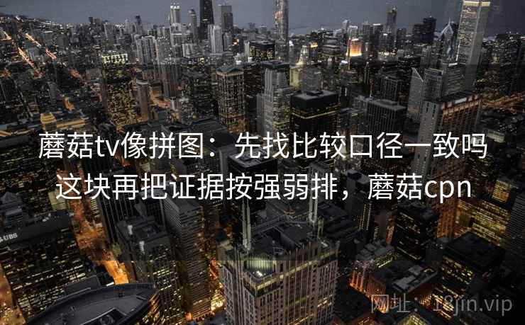 蘑菇tv像拼图：先找比较口径一致吗这块再把证据按强弱排，蘑菇cpn